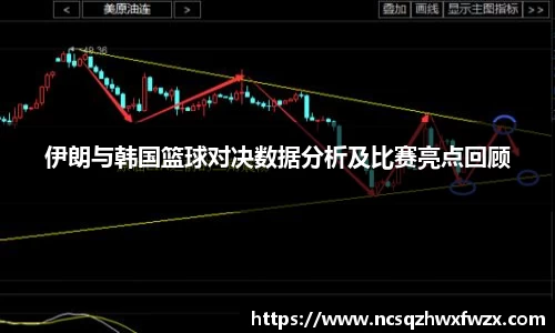 伊朗与韩国篮球对决数据分析及比赛亮点回顾