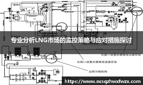专业分析LNG市场的监控策略与应对措施探讨